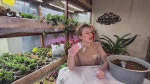 ПОРА ПРИСТУПАТЬ К ПОСЕВУ СЕМЯН.ЧТО НУЖНО И ВАЖНО ЗНАТЬ!