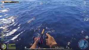 Русская рыбалка 4🎣🎏🦈ВСЕМ ПРИВЕТ И УДАЧНОГО КЛЁВА!!!!!!!!!!!