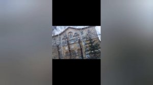 Прогулка по городу Новосибирску Ёлки иголки