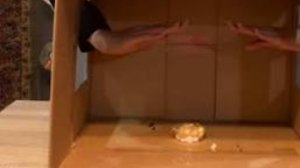 челлендж угадай что в коробке