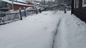 Украшаю дом к Новому году.🎄🎄🎄