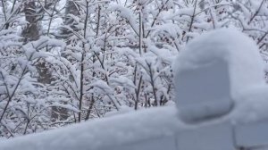 Остановитесь.  Почему 20 декабря изменит вашу жизнь_