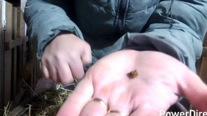 20-12-2025 Опять морозы / сено для кур / хлеб для меня /жизнь в деревне.