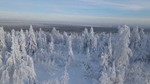 Зимнее Солнцестояние - 21 декабря.  Встречаем волшебство.