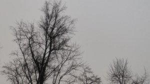 20 декабря  магический не  🌞 прогноз погоды от волшебника 🧙 снег ❄️ в пути и приближается к Москве