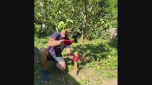 Полезные советы для вашего сада