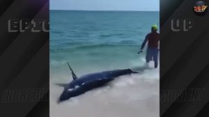 Прикольные Моменты, Снятые на Камеру!