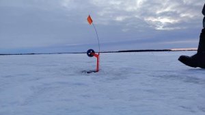 Рыбалка на жерлицы в глухозимье. Щука на жерлицы.