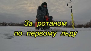 Как ловить ротана по первому льду?