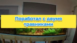 Поработал с двумя травниками