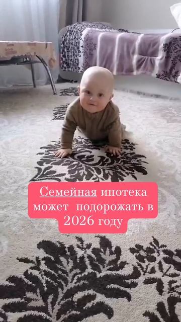 Квартиры в Калининграде смотреть онлайн