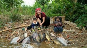 Расставляйте ловушки и ловите гигантскую рыбу, чтобы продавать её на рынке.