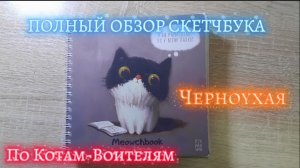 Полный обзор скетчбука по Котам-Воителям ❤️| Новый формат видео| Черноухая| #обзор #котывоители #кв