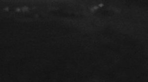 LIVE: channel39463803