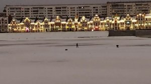 Зимнее утро в предновогодней Йошкар-Оле