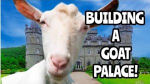 Канадская семья в НН.. Work Follows Him Everywhere