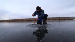 ПЕРВЫЙ ЛЁД! КЛЮЁТ ВСЁ! ПРИШЁЛ ШКОЛЬНИК И ОБЛОВИЛ ВСЕХ. ЗИМНЯЯ РЫБАЛКА СО ЛЬДА