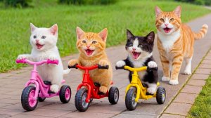 😹Мама кошечка смотрит как её маленький котёночек катается на велосипеде🔥