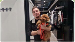 САМВЕЛ АДАМЯН, ГАРИК И КЕРРИ, КУПИЛ БОЛЬШЕ ЧЕМ ХОТЕЛ, В ТРЕНДЕ КРАСНЫЕ ТРУСЕЛЯ И ПАЙЕТКИ..