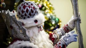 Стали известны цены на новогодние поздравления от Деда Мороза в Москве