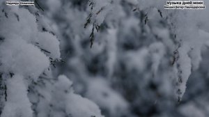 Надежда Новикова, Михаил Баткенович - Зима