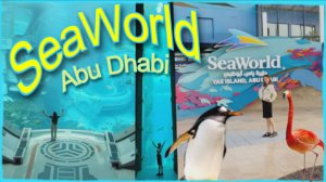 Первый раз полетели в Дубай.Самый большой аквариум в мире. Океанариум в Абу Даби #seaworldabudhabi