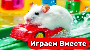 16 Лабиринт для Хомяка 🐹 ПОПИТ ЛАБИРИНТ с ХИТРЫМИ ЛОВУШКАМИ ! Умный Хомяк ! Видео для детей