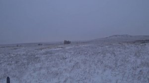 Охота на зайца по науке ...