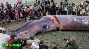 Ответы на Вопросы по Мистике от 20.12.25 Часть 4