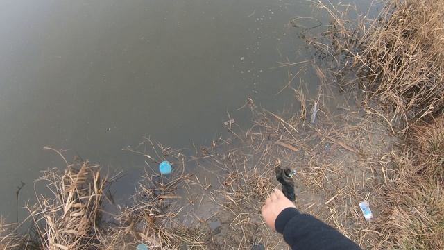 верхогляд 2