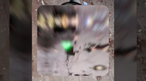 1000043015.mp4 (Собака наблюдает за лайфхаками при строительстве дома А-фрейм)