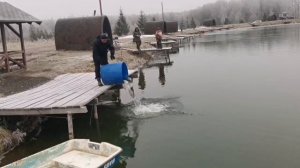 запуск20.12..mp4