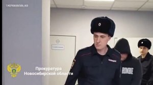 В Новосибирске арестовали водителя, по вине которого погибли шесть человек