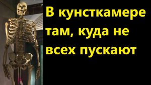 В кунсткамере там, куда не всех пускают