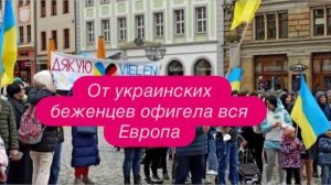 Скандал с украинскими беженками у немецкого врача в Германии. #новости #беженцыизукраины