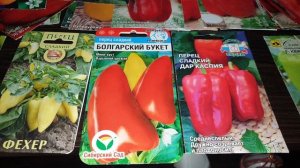 Фавориты. Сорта Уникального раннего сладкого перца.  Кустовые, низкорослые, суперурожайные.