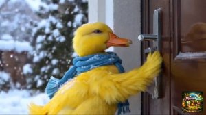 Детский мультфильм,  приключения щенка