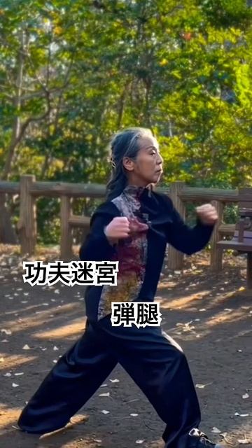 Лабиринты кунг-фу - Кунг-фу Мэйкю - Таньтуй