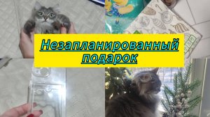 Подарок на Новый год  / Домашний влог