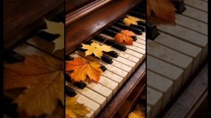 petal_20251220_192041.mp4