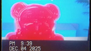 VHS_20251204_21385100.MP4