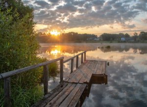 заходи на Стрим если скучно