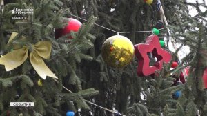 На главной новогодней ёлке Брянска зажглись огни гирлянд