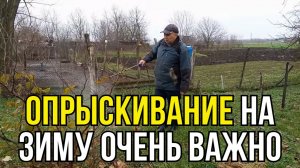 Опрыскиваем наш Сад на Зиму для хорошего урожая летом
