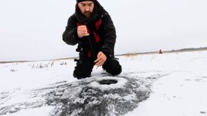 ПЕРВЫЙ ЛЁД 2025-2026  ФЛАГИ ВЗЛЕТАЛИ ВВЕРХ ВЕСЬ ДЕНЬ  ЖАДНЫЕ ЩУКИ ДЕРБАНЯТ ЖИВЦА В КЛОЧЬЯ