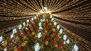 20-12-2025 площадь Победы в Калининграде