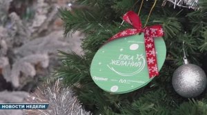 Новости недели 20 декабря 2025 (ТВ-5 Приаргунск)