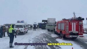 Пять из восьми пострадавших в ДТП с автобусом в Омской области эвакуируют в Омск