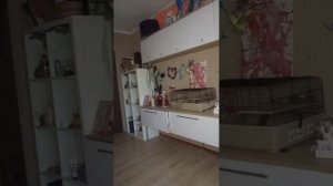 где мой актив?👾💥😽