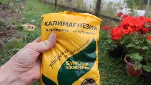 Раскидайте это удобрение весной или осенью по грядкам. Овощи будут плодоносить как на черноземе!